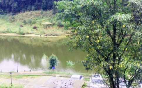 农家乐优秀作文