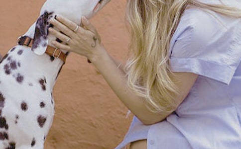 ����Ů�Եĳ���