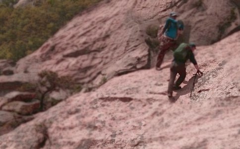 ϲ����ɽ����