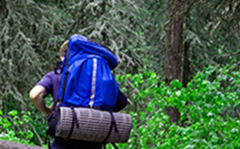 爬山的作文【荐】