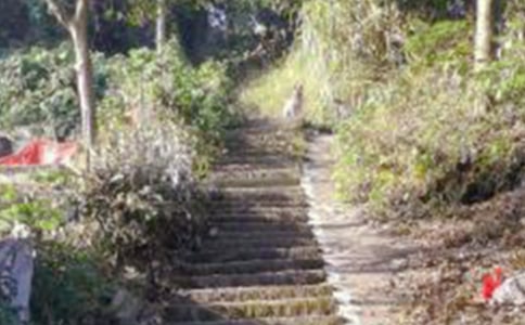 ��ɽ�����ġ��Ƽ���