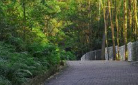 �й���ɽ���ľ�ѡ