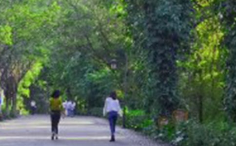 ��ɽ��Ĳ߻���