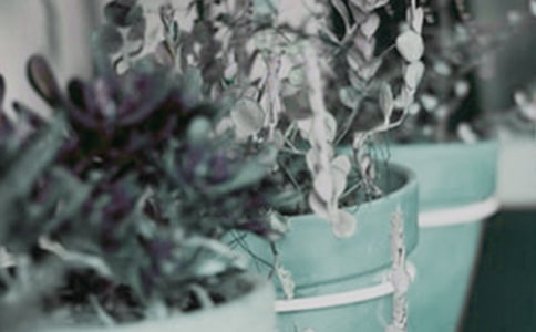 С��������(�ϼ�15ƪ)