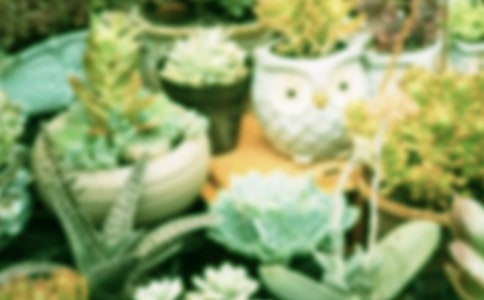 ����ϲ������������