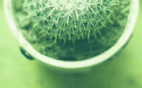 С�������Ļ��15ƪ