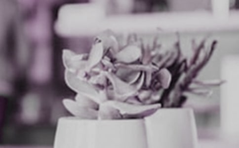 ���Ե�����