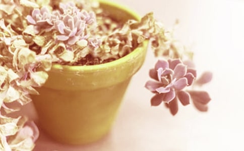 С��������(ͨ��15ƪ)