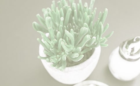 盆栽的作文15篇