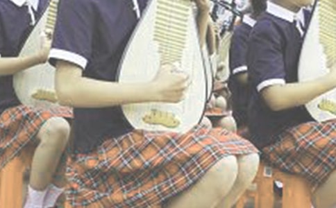 我爱弹琵琶作文4篇