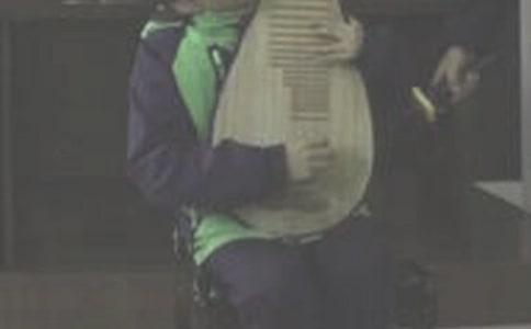 我爱弹琵琶作文