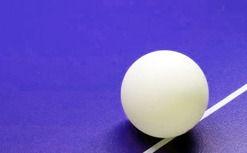 乒乓球真让我着迷作文