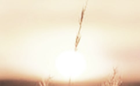 �����������İ�