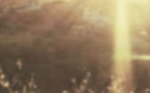 ������ӭ����������