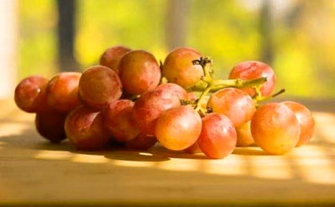 ���ѵ�����15ƪ[ͨ��]