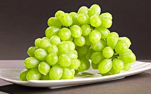 紫色葡萄慈父心阅读答案