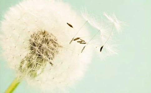 �й��ѹ�Ӣ��������ƪ