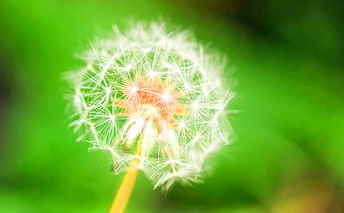 ���˵��ѹ�Ӣ����