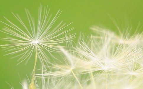 �ѹ�Ӣ�����е�����