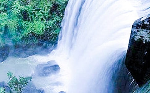 �ƹ������ٲ�����