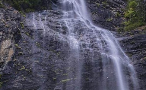 �����ٲ�������