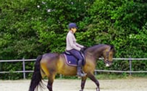 【热】第一次骑马作文