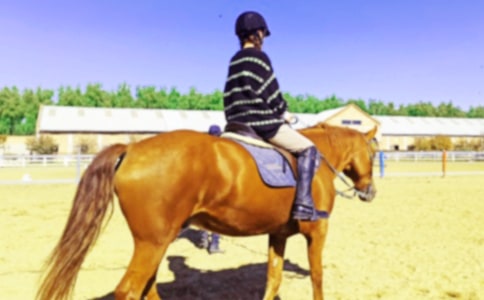 �����š���һ����������