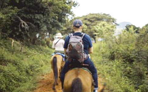 ��һ����������