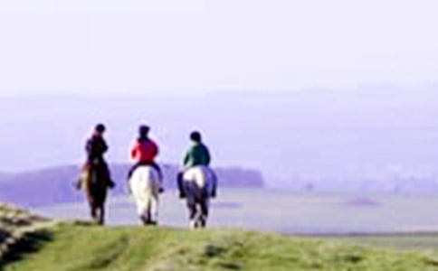 ��һ����������