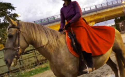 第一次骑马作文【热门】