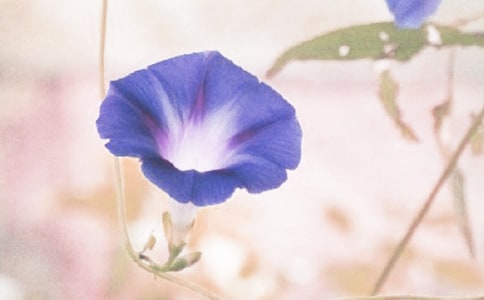 ������ǣţ������