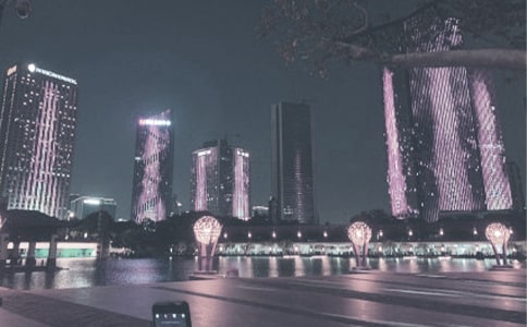 千灯湖作文15篇