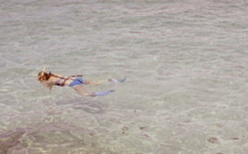 亚龙湾潜水作文