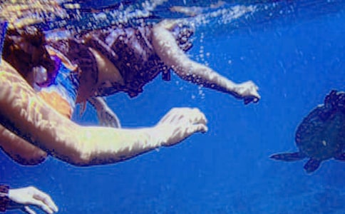 ������Ǳˮ����4ƪ