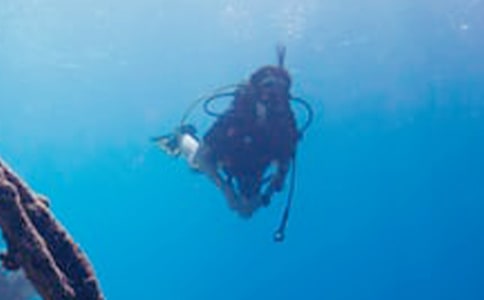 Ǳˮ������ͨ��15ƪ