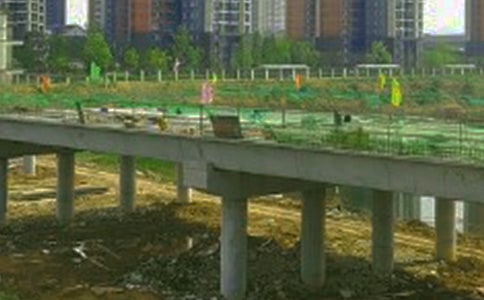 沟通的“桥梁”_作文