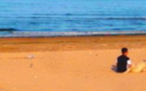 �ػʵ�����