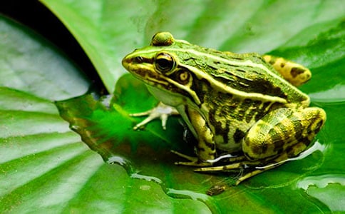 ׽��������(����15ƪ)