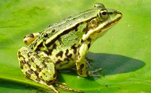 �������ܵĸ���