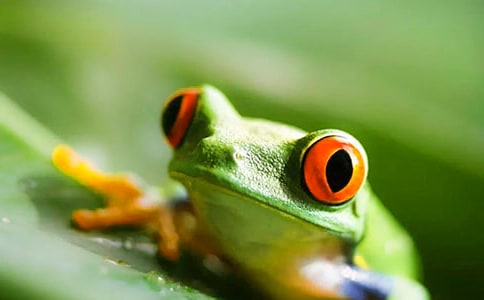 ���ܺ���������