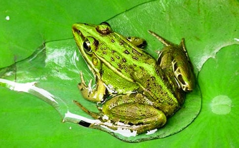 ������������