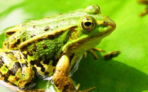 ����״������