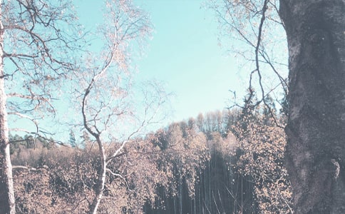 �＾�����ġ�����15ƪ��