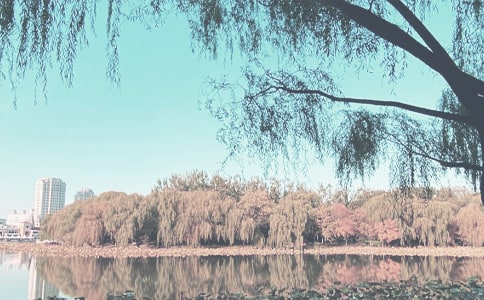 ѧǰ���＾�����ܽ�14ƪ