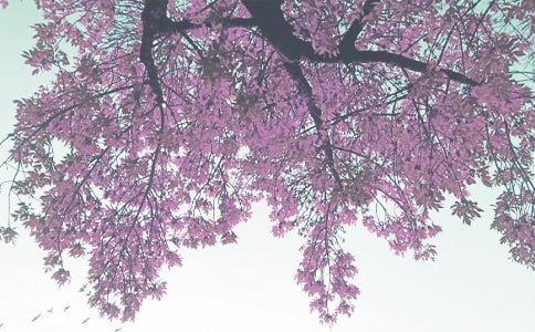 ����Ʒ���＾������