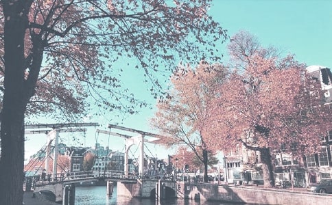 �＾���������ܽ᷶��