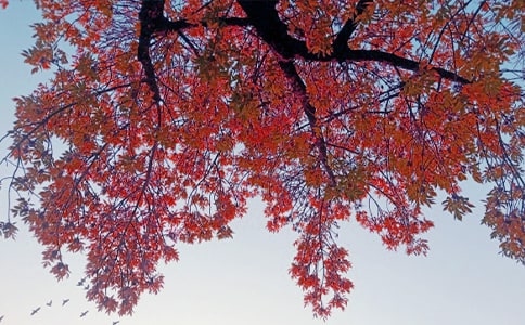 ���ա�˽�����