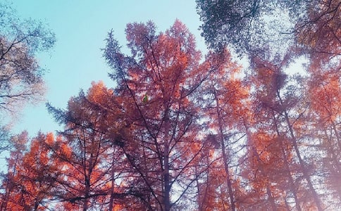 ���ռ�������