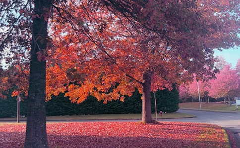 �����š����ռ�������