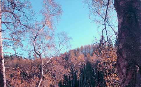 ������������(����7ƪ)